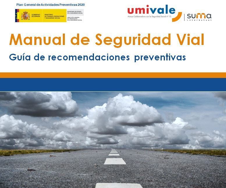 Manual de Seguridad Vial: Guía de recomendaciones preventivas