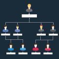 organigrama