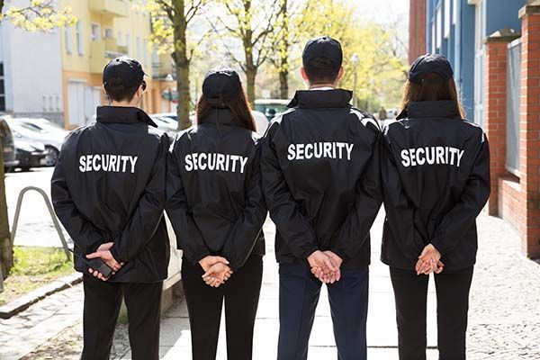 seguridad privada