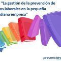 La gestión de la prevención de riesgos laborales en la pequeña y mediana empresa