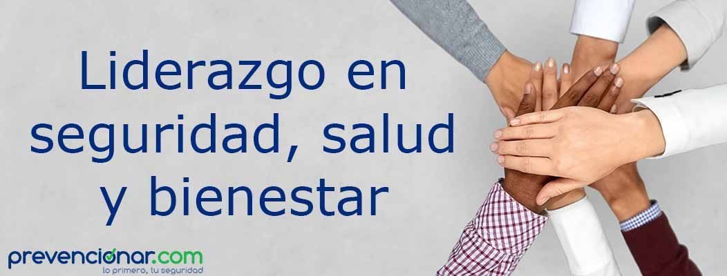 Liderazgo en seguridad, salud y bienestar Liderazgo en seguridad, salud y bienestar
