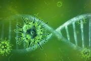 CEAPS remite un protocolo a residencias y centros de día para saber cómo actuar y prevenir el contagio del coronavirus