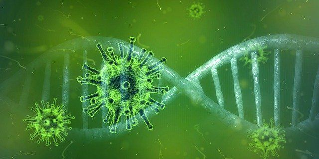 CEAPS remite un protocolo a residencias y centros de día para saber cómo actuar y prevenir el contagio del coronavirus
