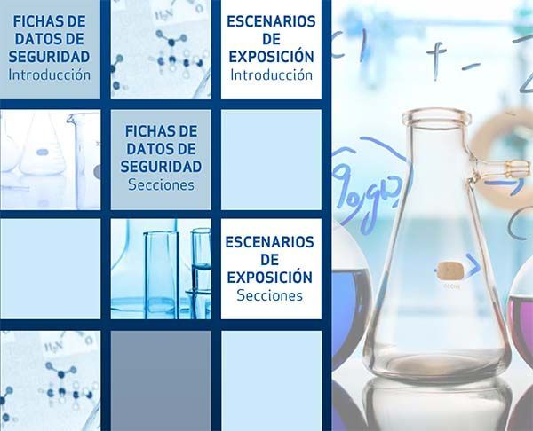 Guía sobre fichas de datos de seguridad y escenarios de exposición