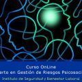 experto gestion riesgos psicosociales