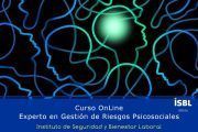 Experto en Gestión de Riesgos Psicosociales #CursoOnLine