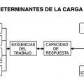 Factores determinantes de la carga mental de trabajo