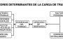 Factores determinantes de la carga mental de trabajo