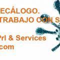 decálogo-vuelta-al-trabajo