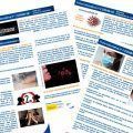 la campaña informativa de umivale sobre la COVID-19