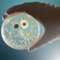 µBioFree®. Protocolo para control de carga microbiológica en establecimientos