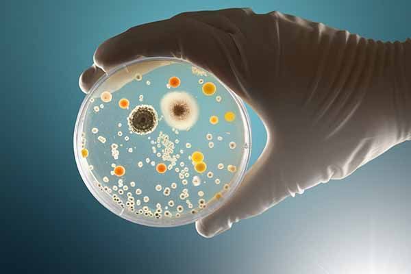 µBioFree®. Protocolo para control de carga microbiológica en establecimientos