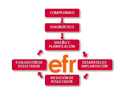 2. Como implantar el Modelo EFR
