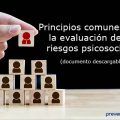 Principios comunes para la evaluación de los riesgos psicosociales