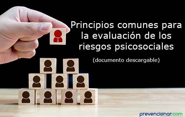 Principios comunes para la evaluación de los riesgos psicosociales
