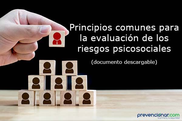 Principios comunes para la evaluación de los riesgos psicosociales