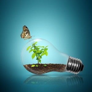 bombilla_sostenibilidad_medio_ambiente