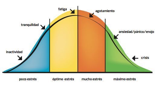 curvaestres