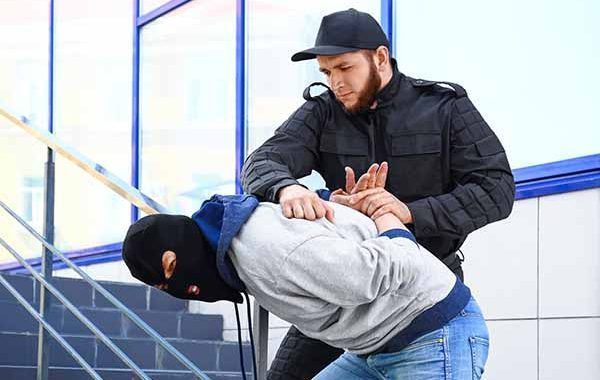 Análisis de la lesividad mediante la evaluación de las condiciones de carga del trabajo: carga postural en las detenciones policiales