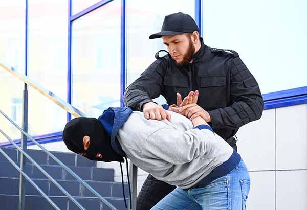 Análisis de la lesividad mediante la evaluación de las condiciones de carga del trabajo: carga postural en las detenciones policiales
