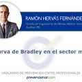 La curva de Bradley en el sector minero