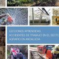 Lecciones Aprendidas: Accidentes de Trabajo en el Sector Agrario