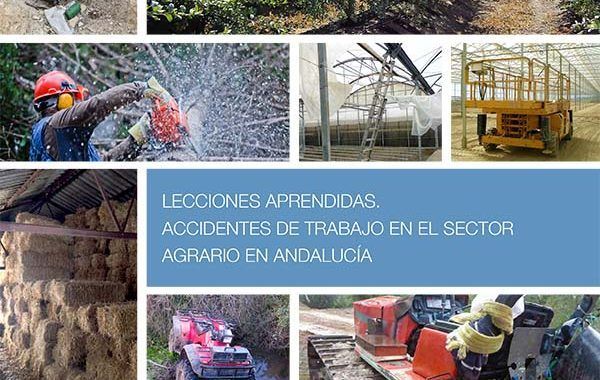 Lecciones Aprendidas: Accidentes de Trabajo en el Sector Agrario