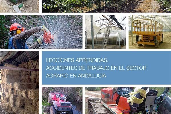 Lecciones Aprendidas: Accidentes de Trabajo en el Sector Agrario