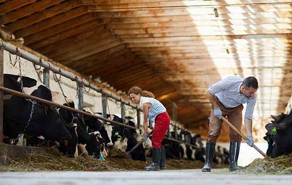 Guía para la prevención y control de la COVID-19 en las explotaciones agrícolas