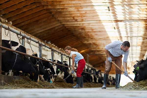 explotaciones agrícolas