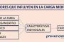 Factores que determinan la carga mental