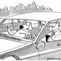 distracciones volante