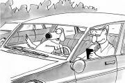 Las cinco distracciones más comunes al volante