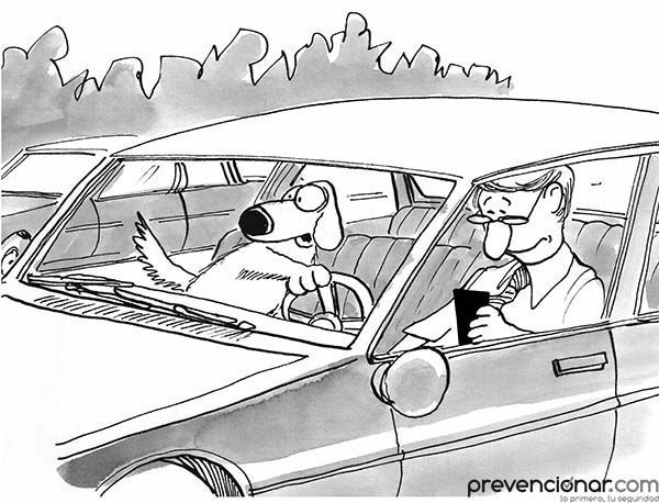 Las cinco distracciones más comunes al volante