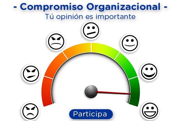 Observatorio del Compromiso Organizacional, última semana para participar