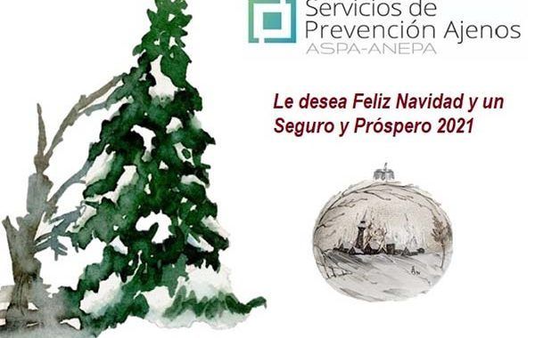 Servicios de Prevención Ajenos: 