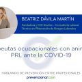 Terapeutas ocupacionales con animales: PRL ante la COVID-19