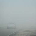 conducir con niebla