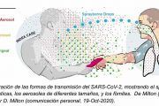 Aerosoles, cómo se contagia la COVID-19 en el aire