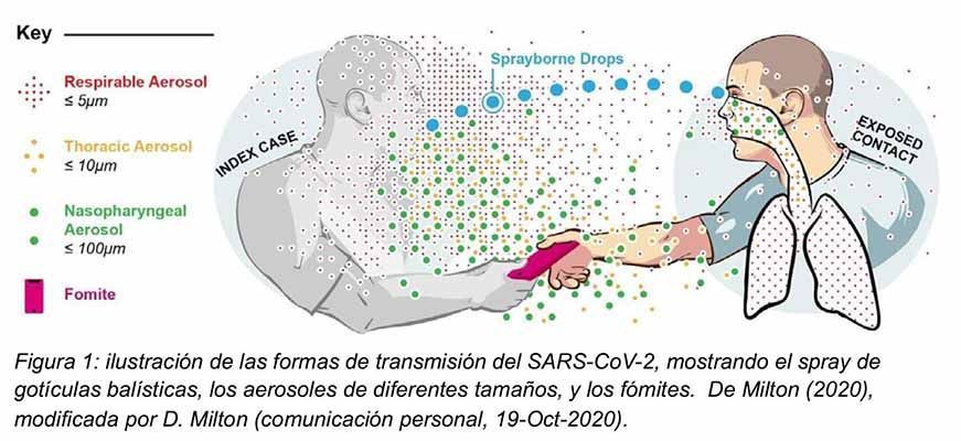 Aerosoles, cómo se contagia la COVID-19 en el aire