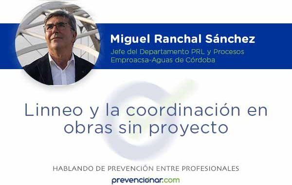 Linneo y la coordinación en obras sin proyecto