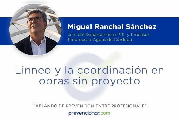 Linneo y la coordinación en obras sin proyecto