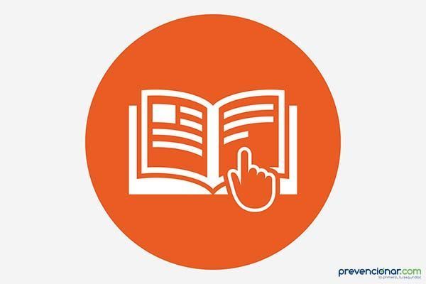 Los procesos de selección y formación de los inspectores de trabajo: Prácticas, programas y lagunas