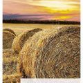Guía Agricultura y Ganadería