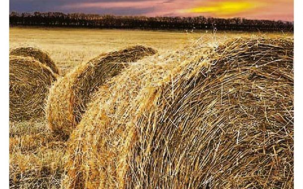 Guía de riesgos en la Agricultura y Ganadería