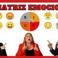 matriz emocional