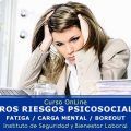 OTROS RIESGOS PSICOSOCIALES