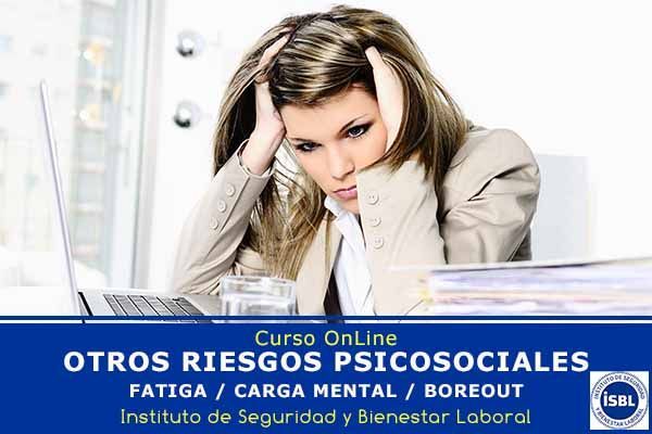 OTROS RIESGOS PSICOSOCIALES