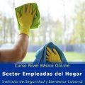 curso nivel básico empleadas del hogar