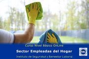 Curso de Nivel Básico: Empleadas del Hogar